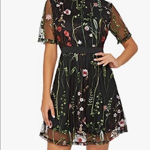 Embroidered Illusion Floral Dress